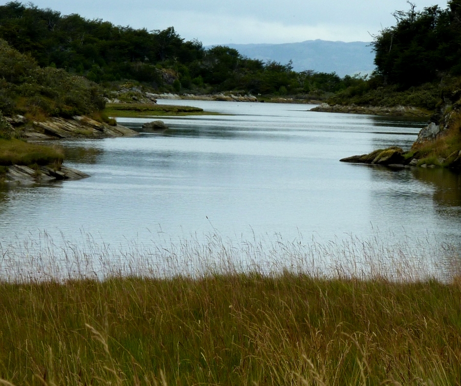 Terra Del Fuego Landscape