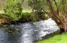 Tasmania river