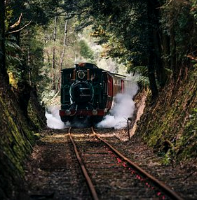 Queenstown train