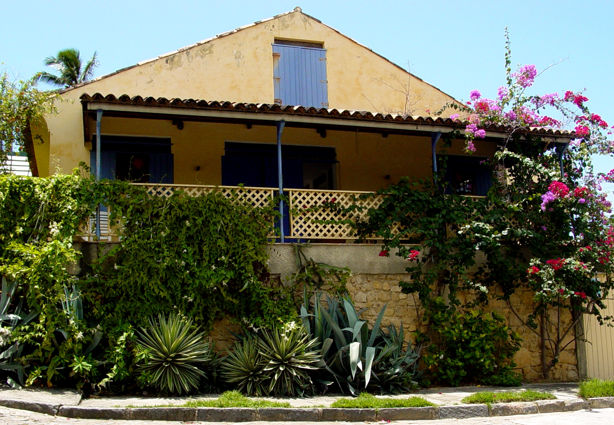 House with many plants