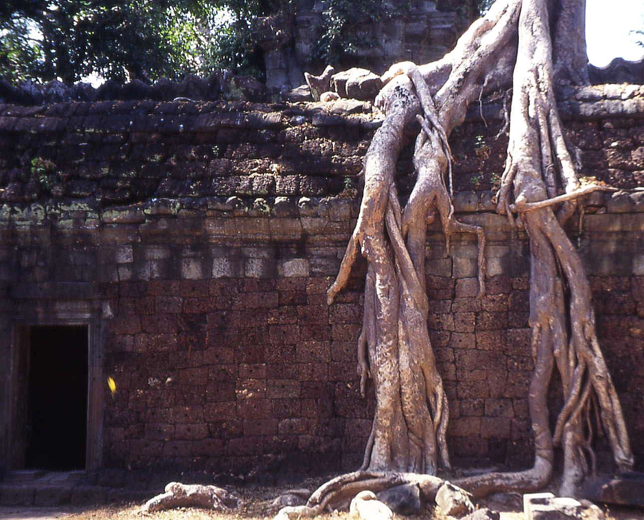 temple wall