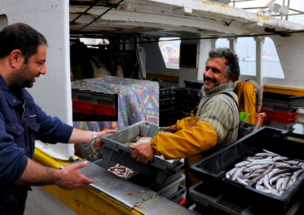 Fish market