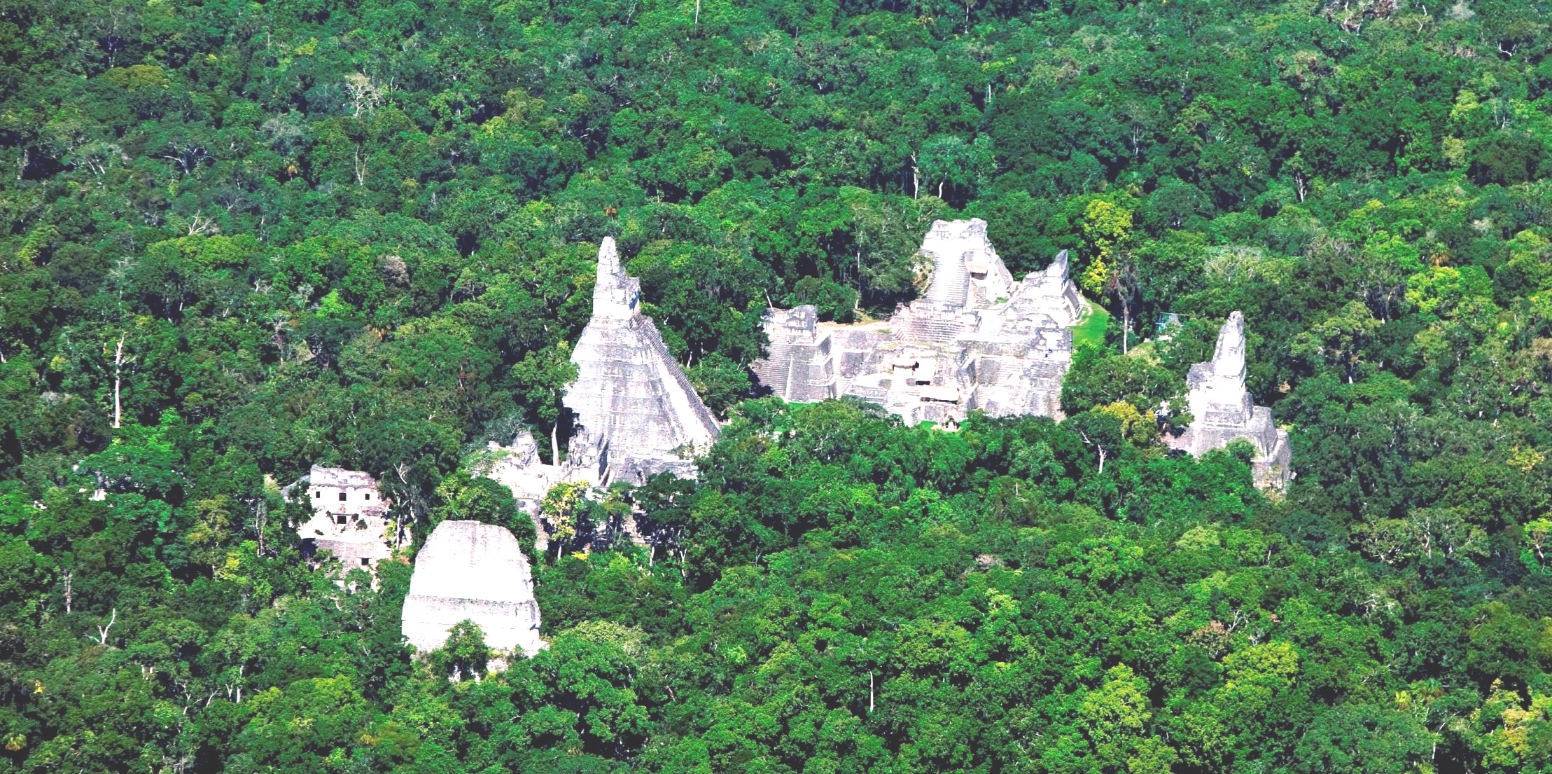 Ruins in jungle