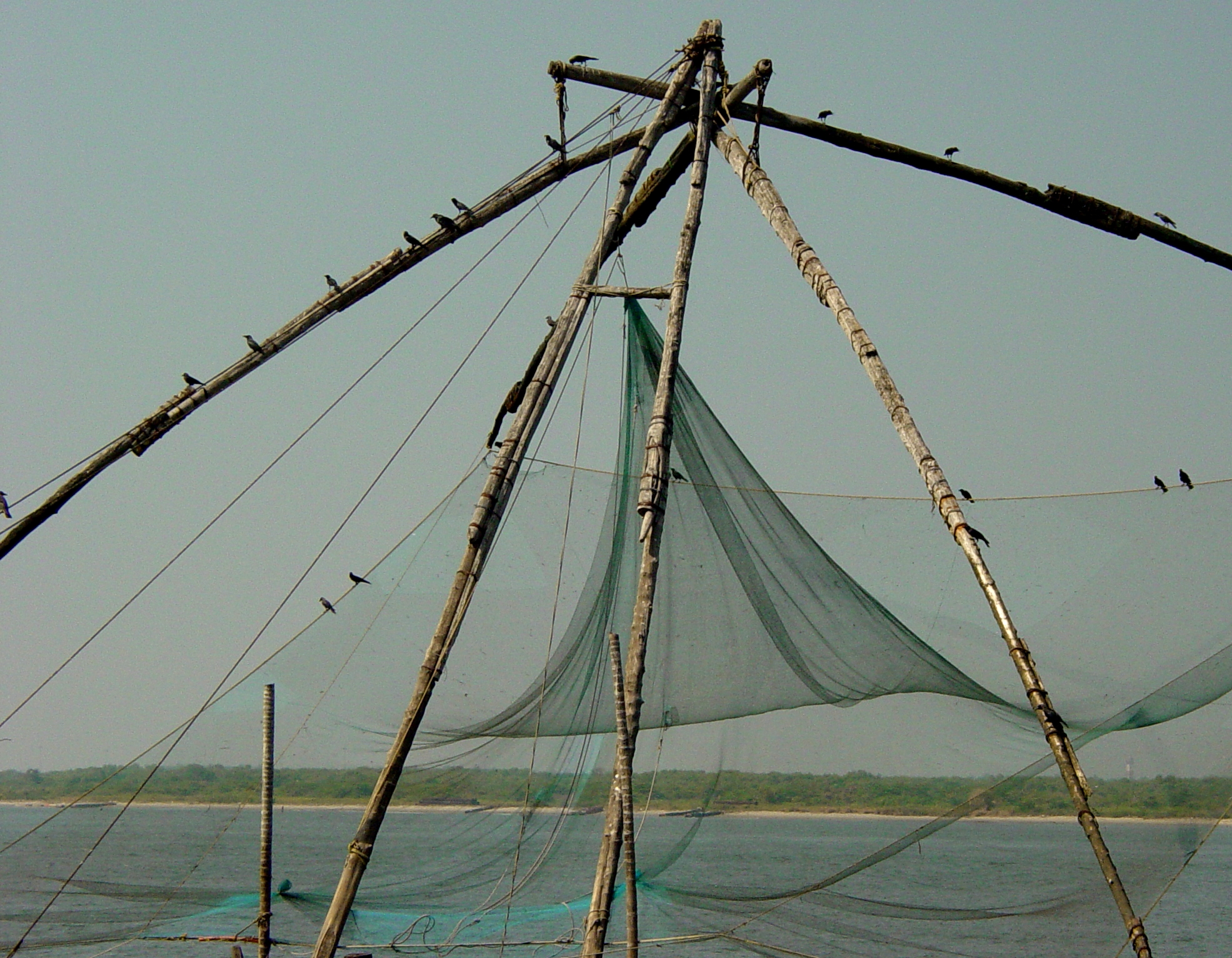 Chinese fishnet with birds