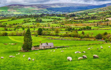 Ireland landscape