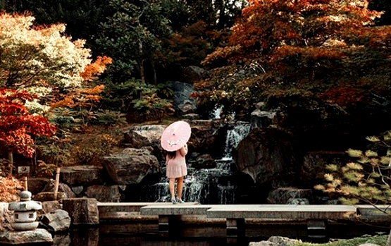 Kyoto garden