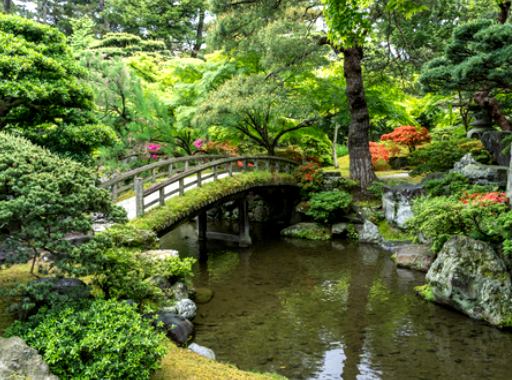 Kyoto castle