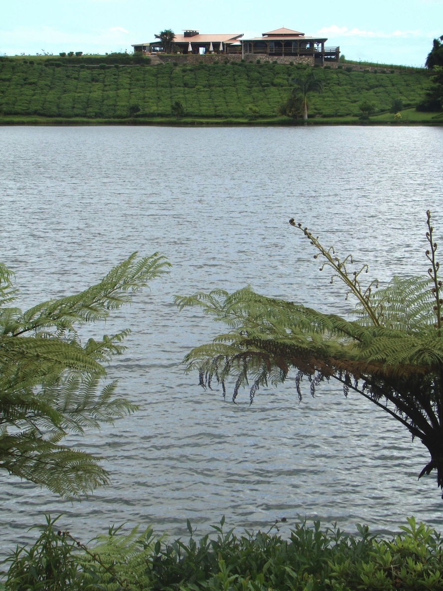 lake and teafarms