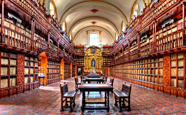 Puebla library