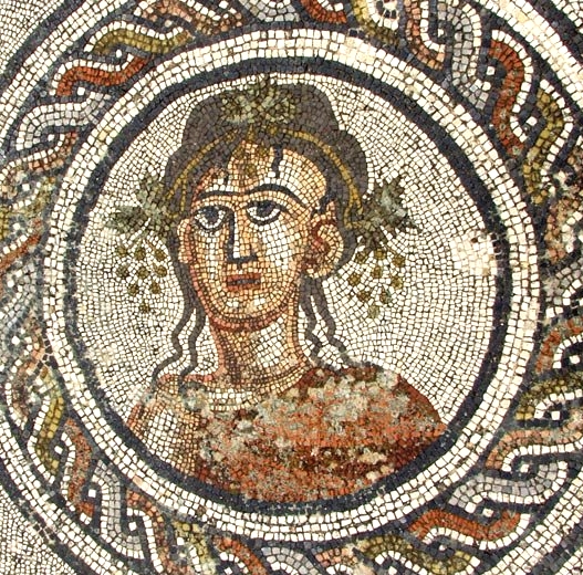 Volubilis mosaic