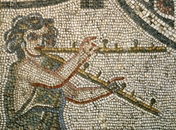 Volubilis mosaic