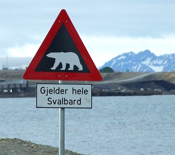 Polarbear warning sign