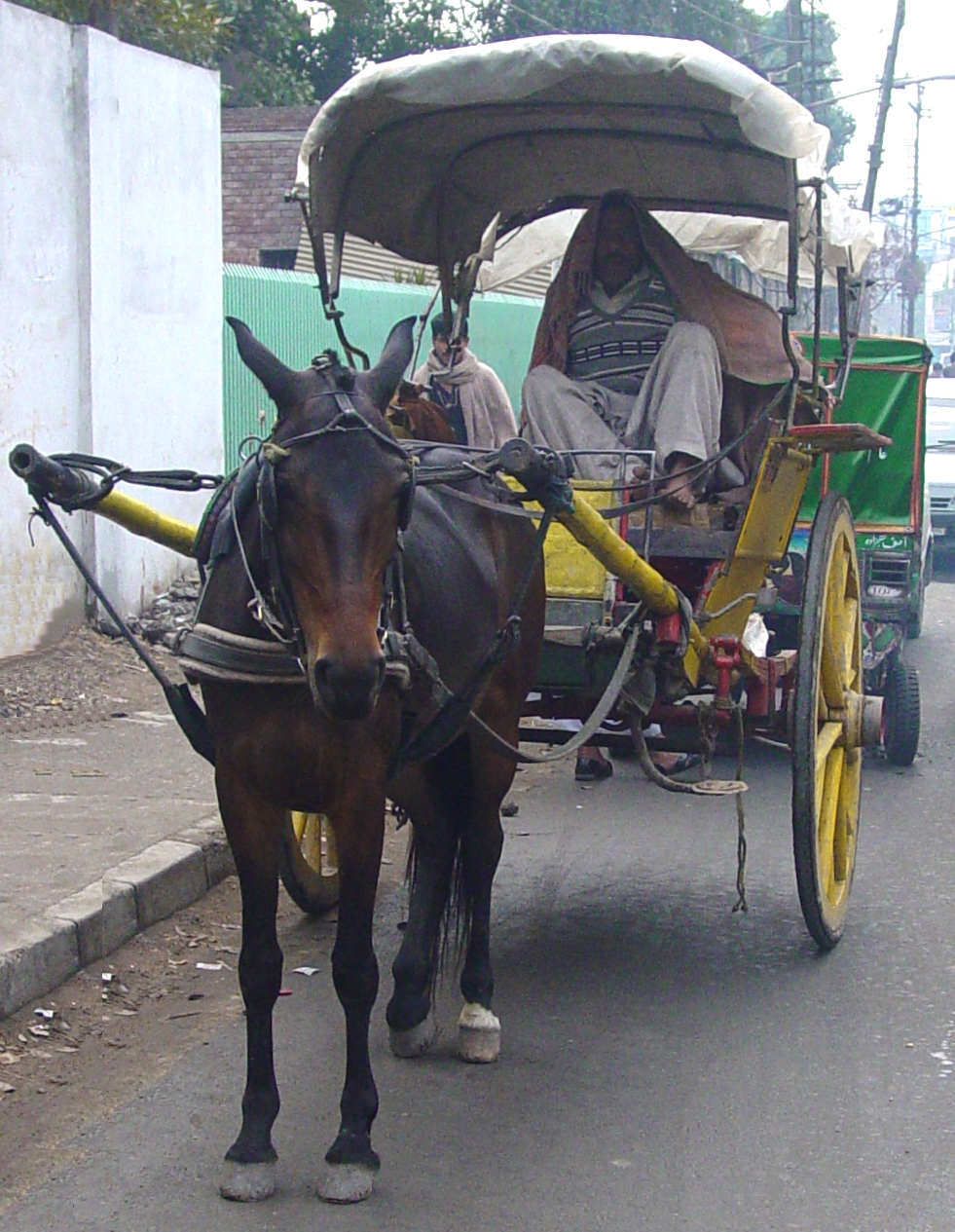 Horse taxi
