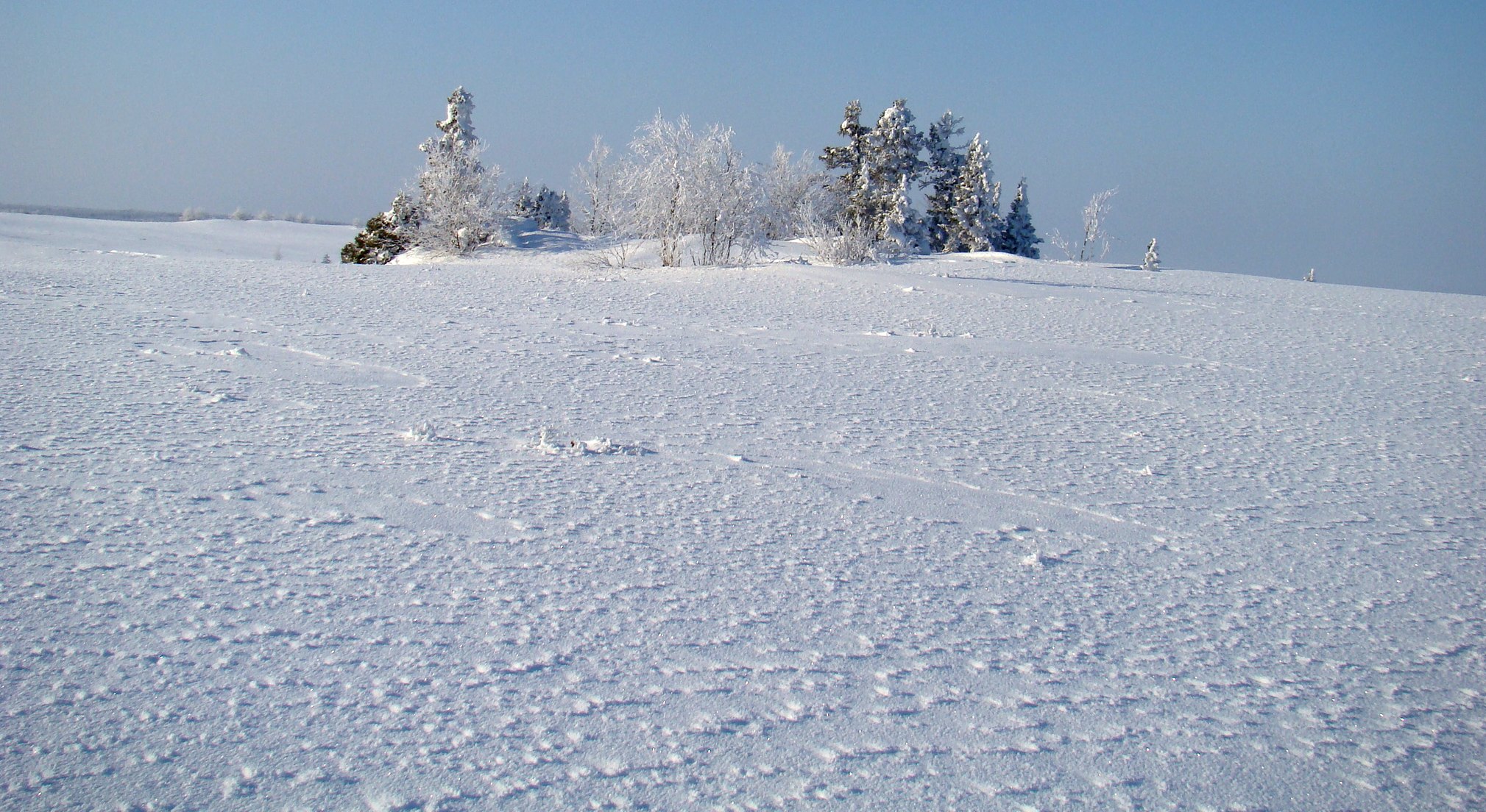 RussiaNenets-TundraLandscapeWinterView2--5013