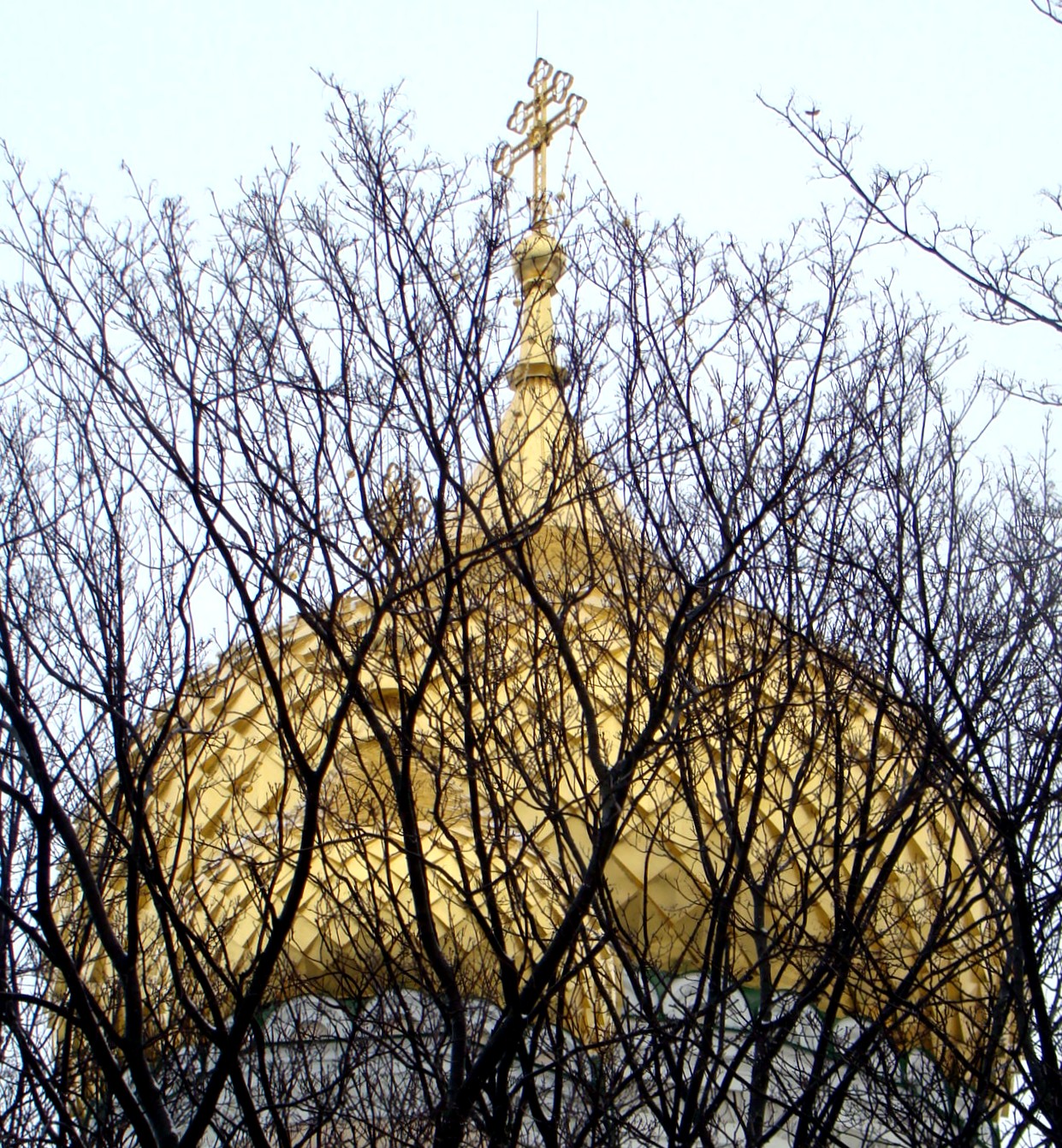 RussiaStPetersburg-OrthodocChurchXyz6-GoldenCupolasBehindTrees2--5159%5E