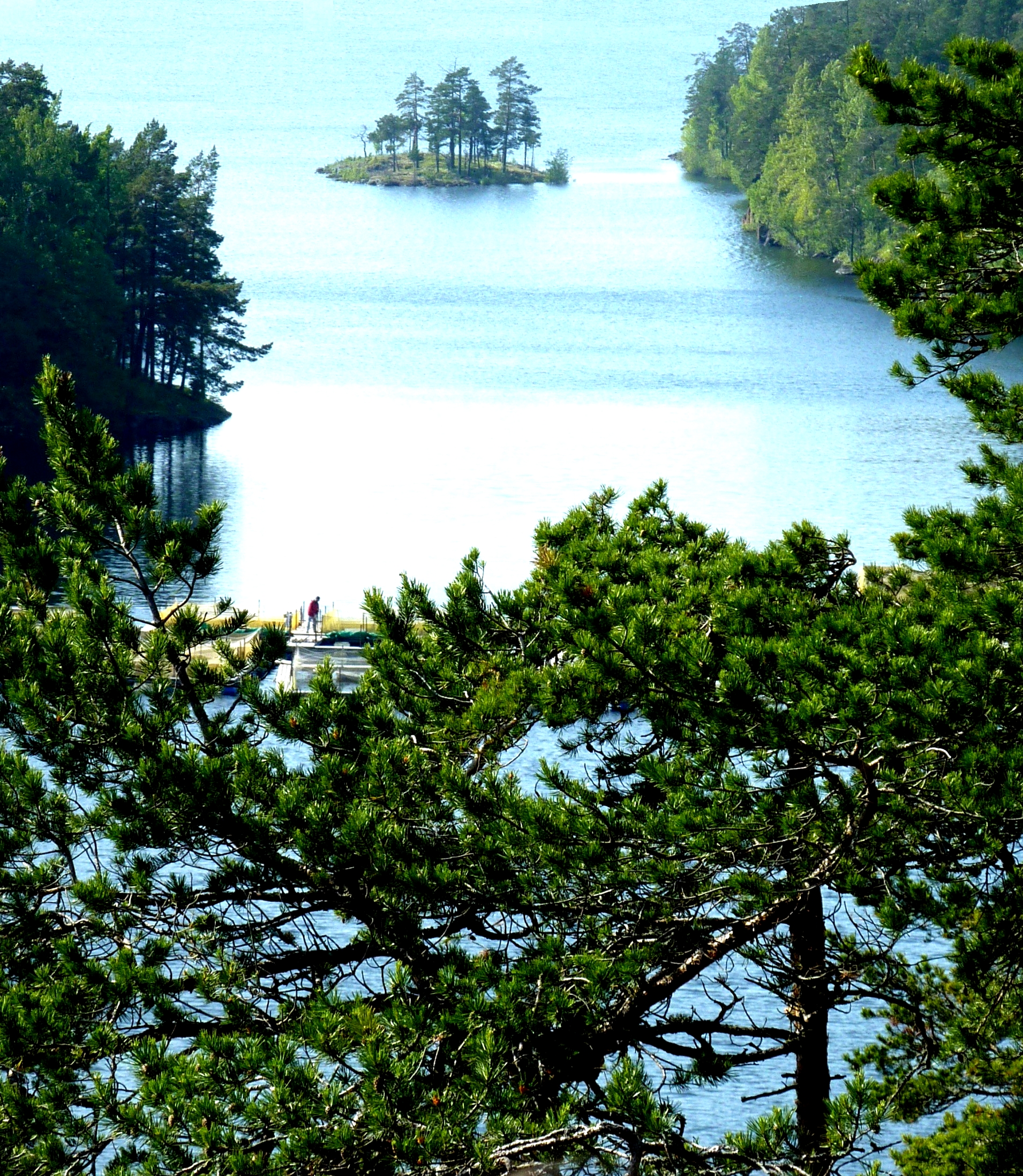 View over lake