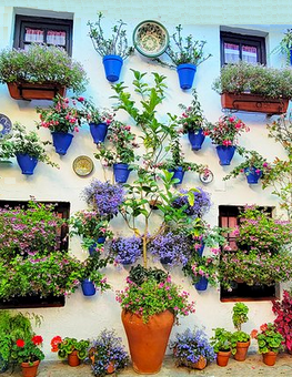 Cordoba