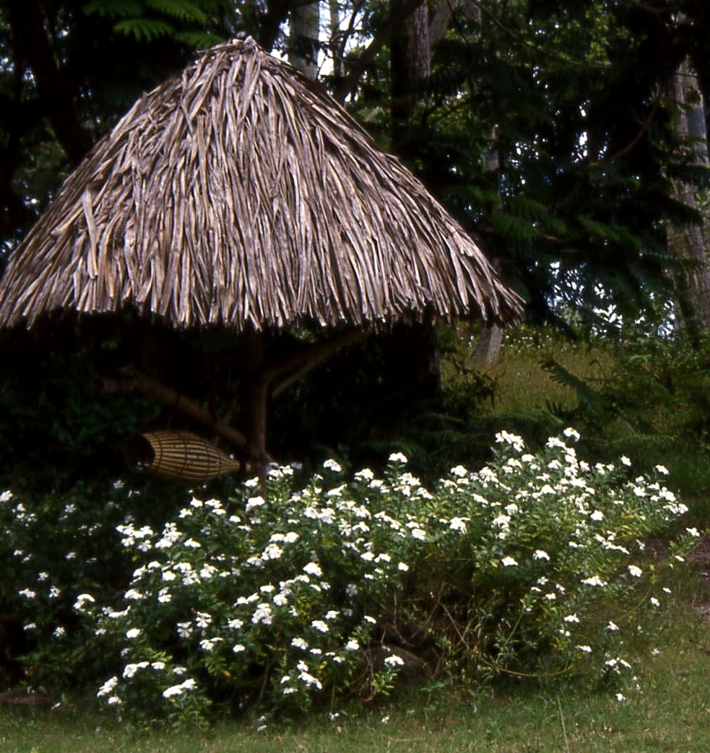 Tahiti house