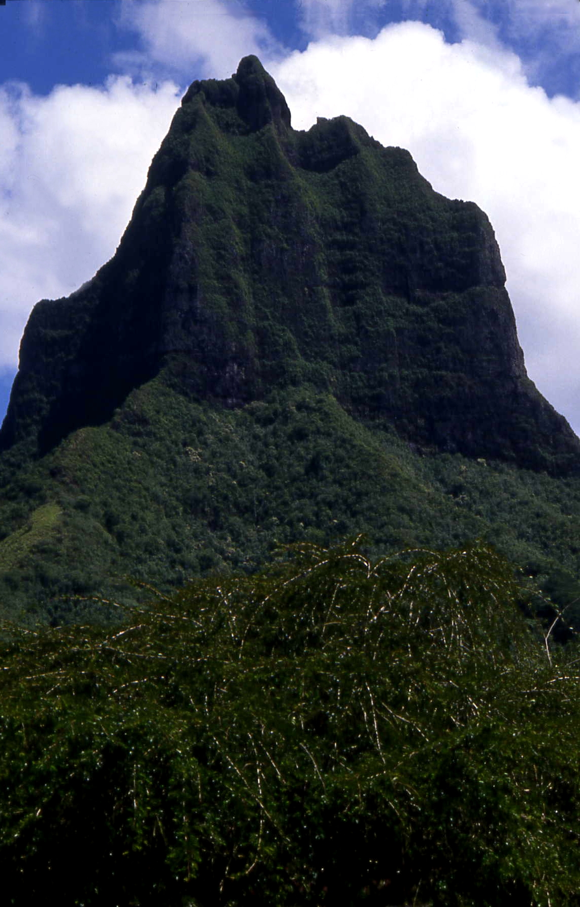 Tahiti mountain