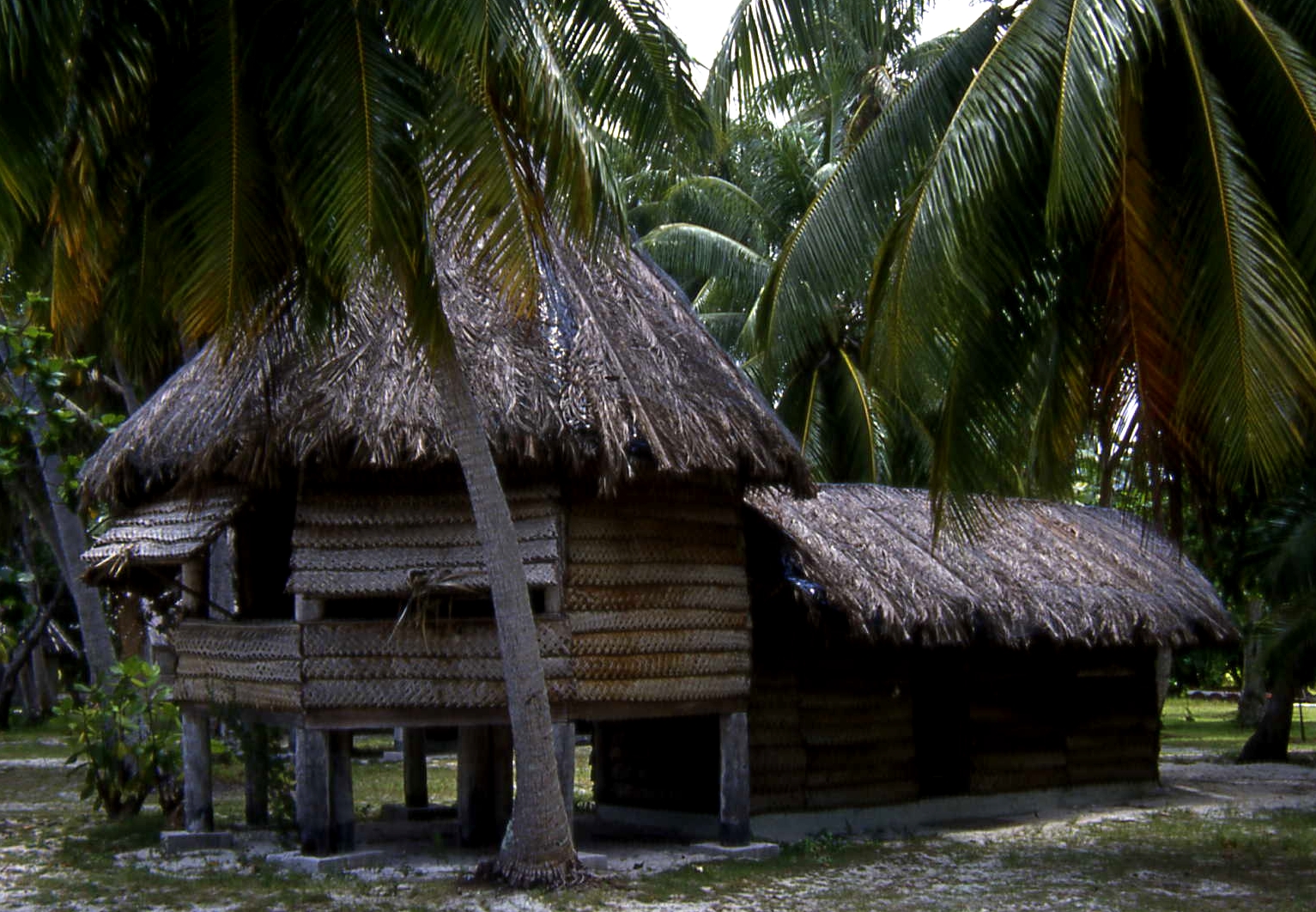 Tahiti house