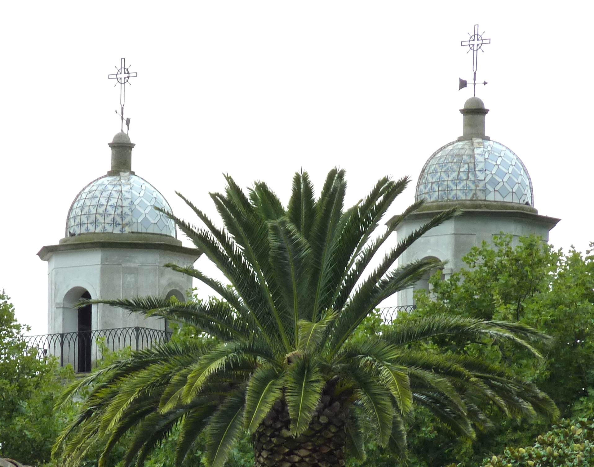 Towers Of Cathedral Above Palmtree