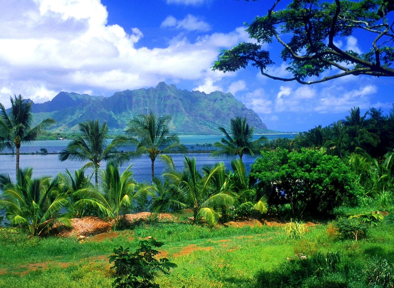 rohrmann-USAHawaiianIslands-Landscape-ByXY.jpg